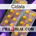 Cidala new10